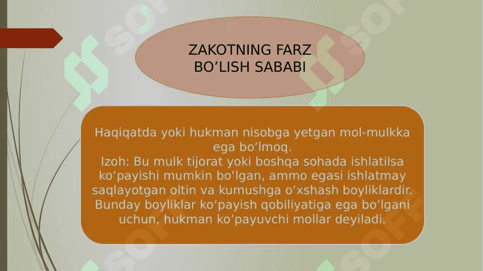 ZAKOT 6
