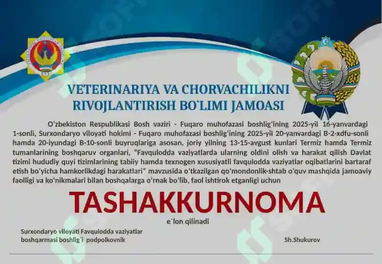 TASHAKKURNOMA word shaklda 2