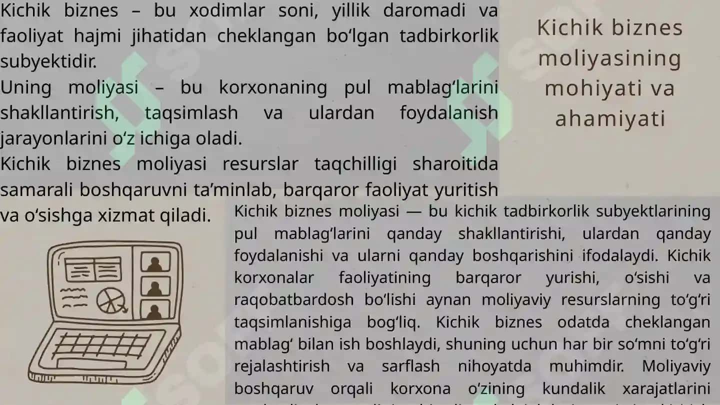 Kichik biznes moliyasi 3