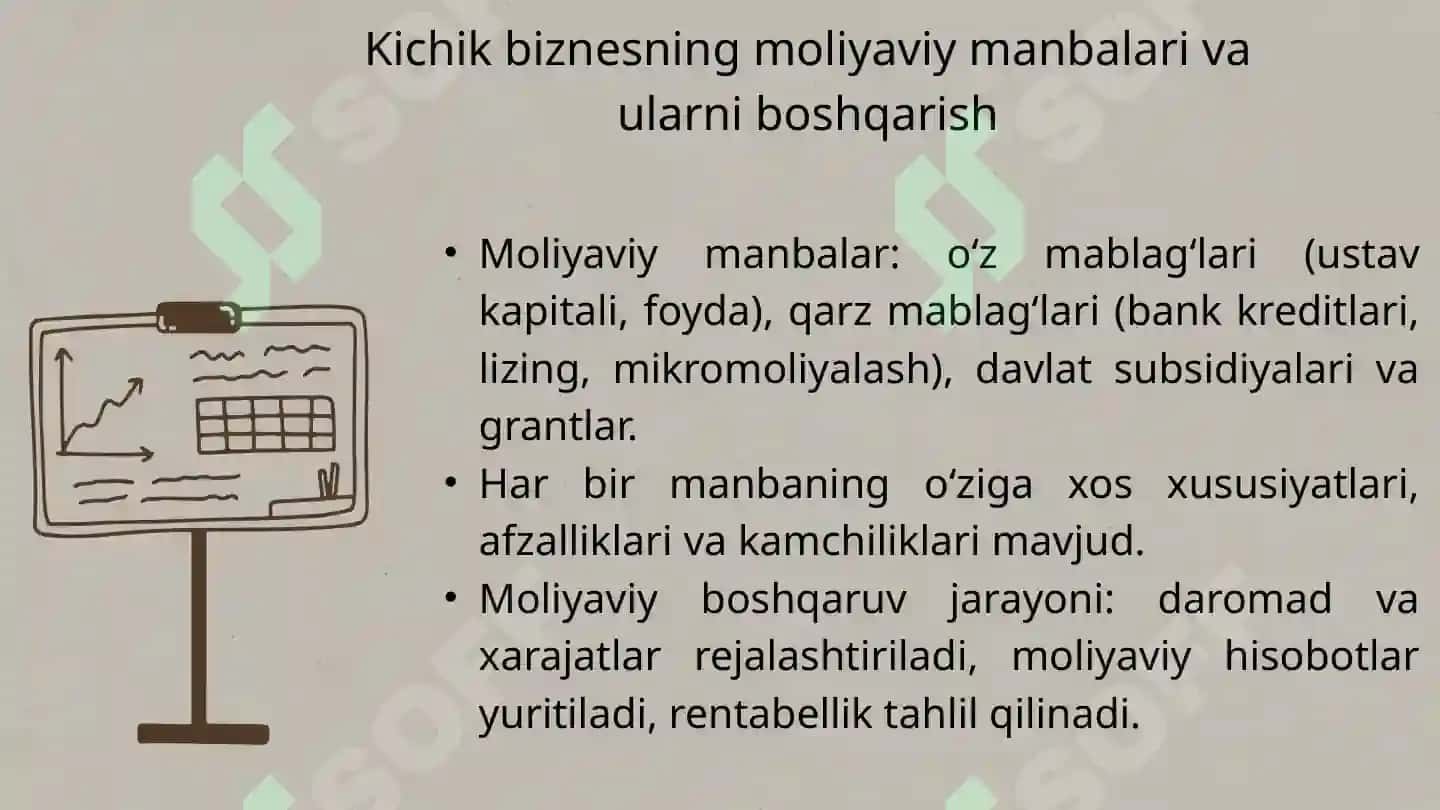 Kichik biznes moliyasi 7