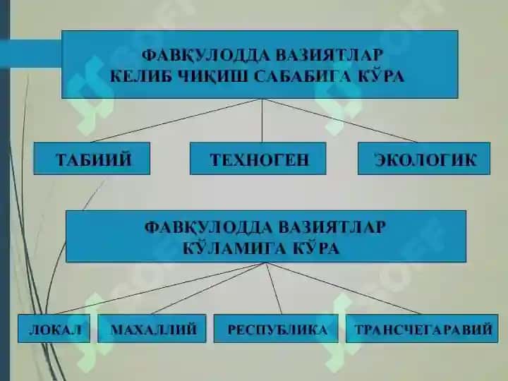 Virusli infeksiyalar(Covid) 4