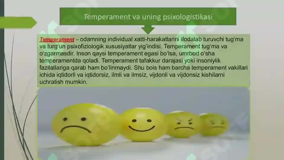 taqdimot 2