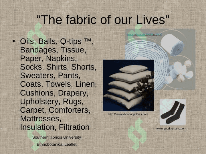 THE HISTORY OF COTTON 3