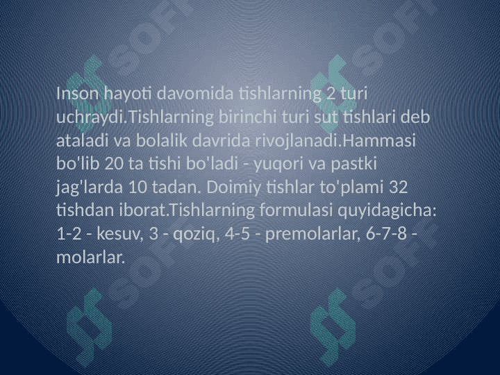 Tishlarning gistalogik tuzilishi 3