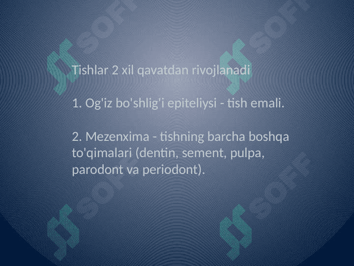 Tishlarning gistalogik tuzilishi 4