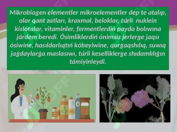 BIOGEN ELEMENTLAR. 6