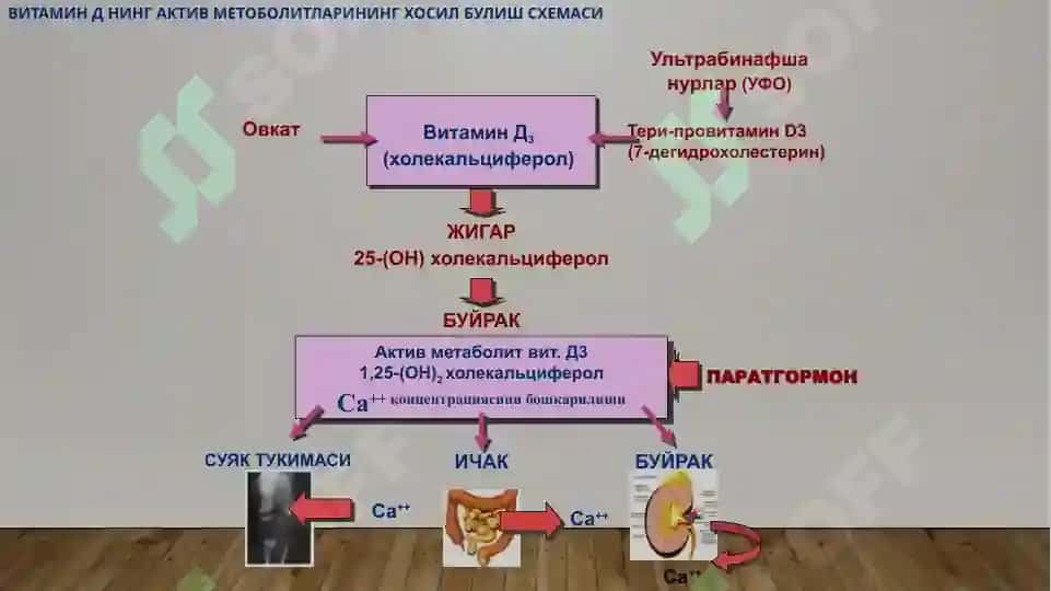 Bolalarda raxit kasalligi 8