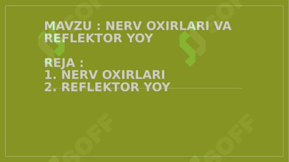 Nerv oxirlari va reflektor yoy 2