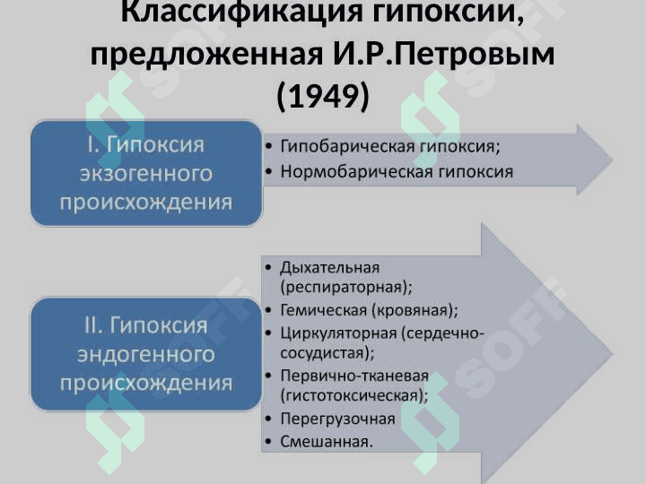Гипоксия русский вариант презентатсия 3