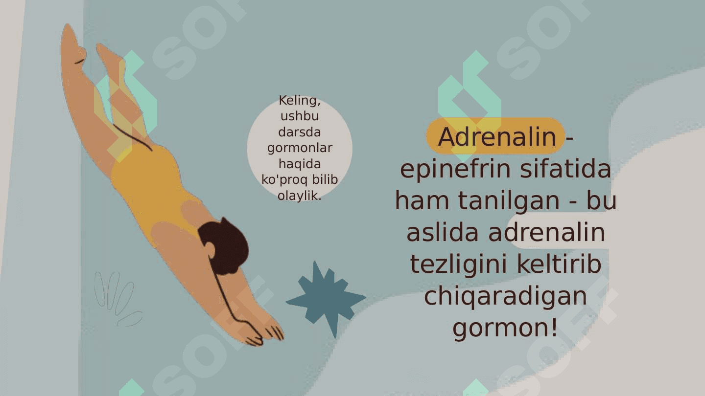 Inson tanasida gormonlarning roli 3