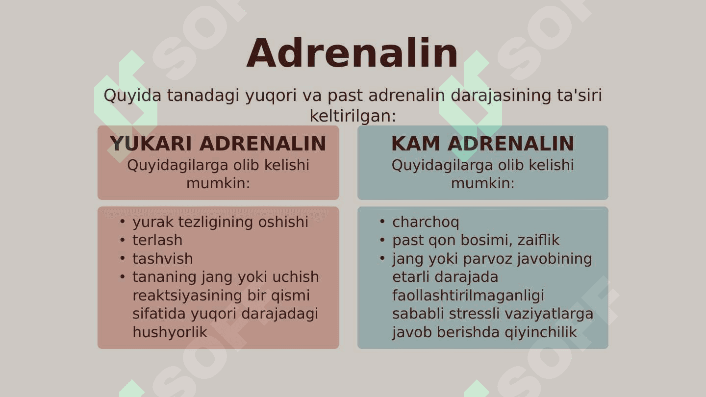 Inson tanasida gormonlarning roli 7