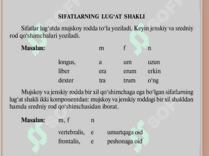 Lotin tilida sifat so'z turkumi 3