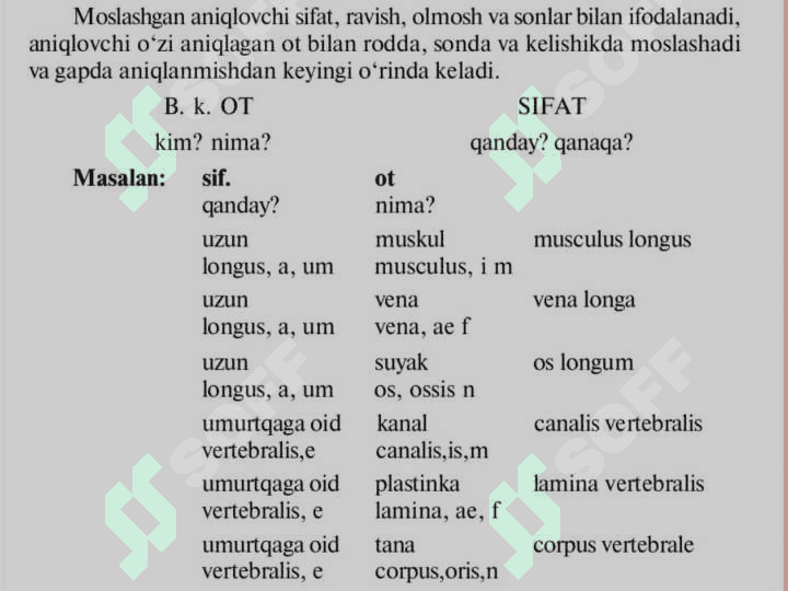 Lotin tilida sifat so'z turkumi 4