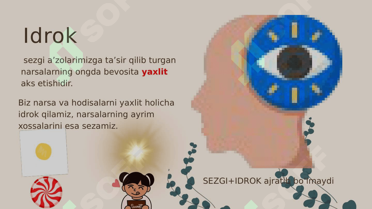 Idrok 3