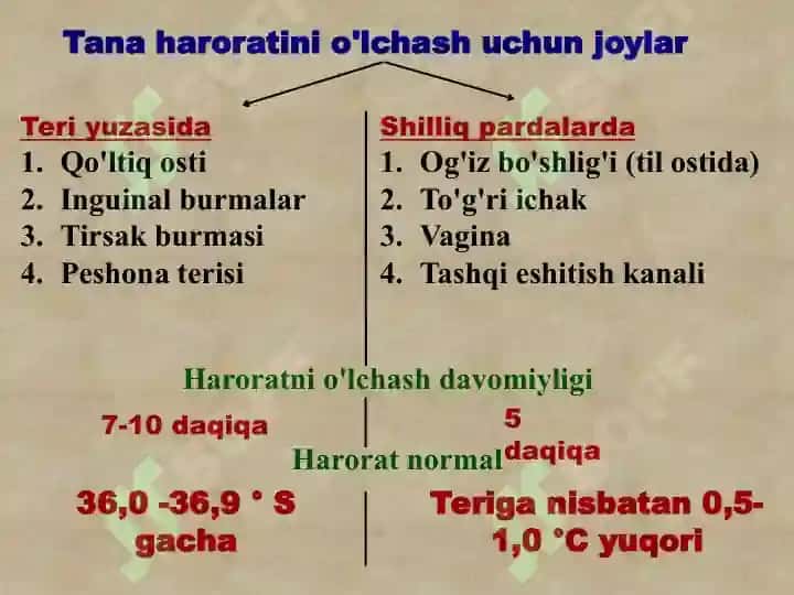 Termometriya 4