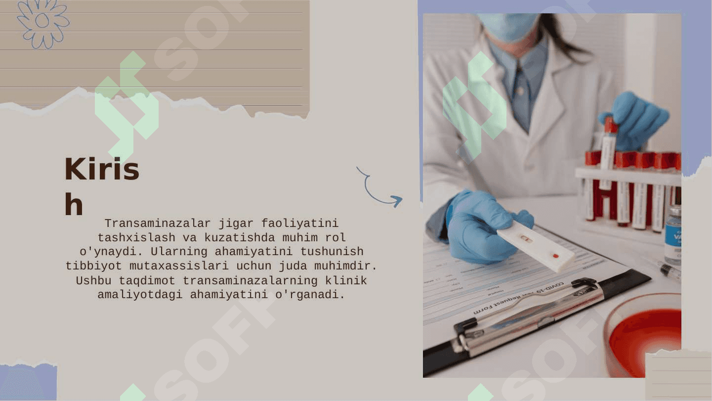 Transaminazalarning tibbiyotdagi ahamiyati 2