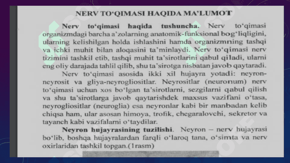 Nerv to`qimasi 2