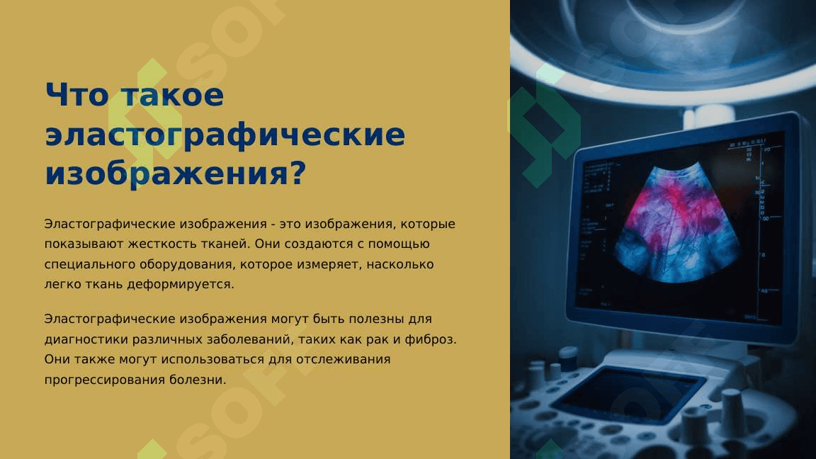 Основы эластографии 3