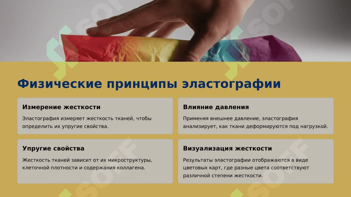 Основы эластографии 4