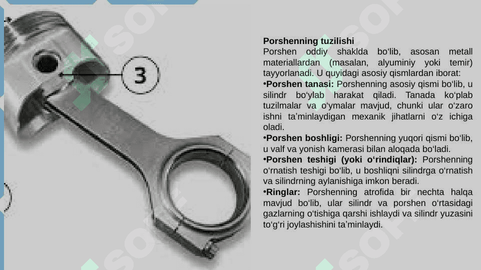 Porshen 4