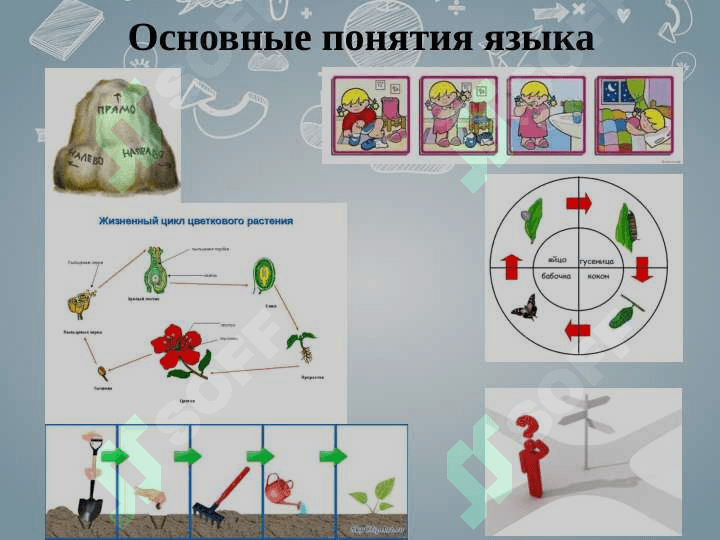 Основные понятия алгоритмизации и программирования 6