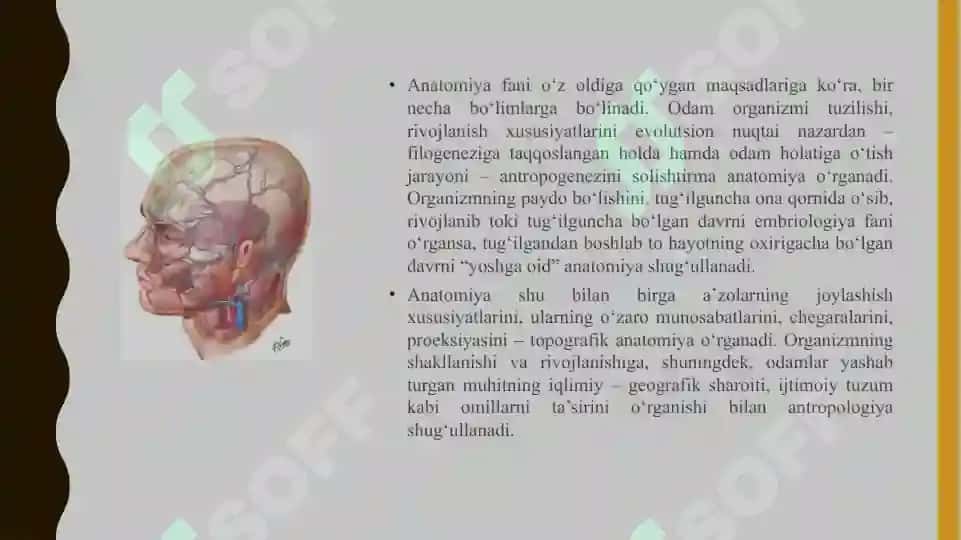 Anatomiya faning vazifasi va tekshirish usullari. Hujayra va to’qimalar 4