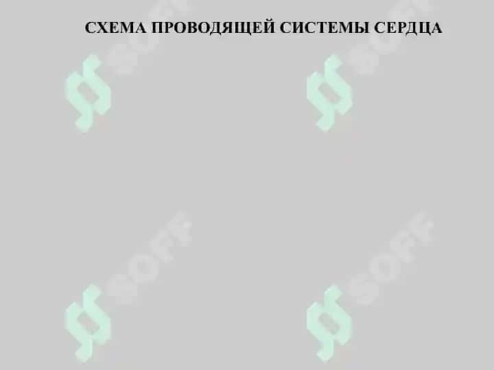 Противоаритмическое средство 4