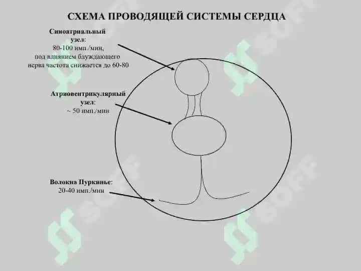Противоаритмическое средство 5