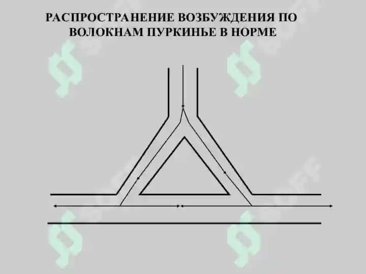 Противоаритмическое средство 7