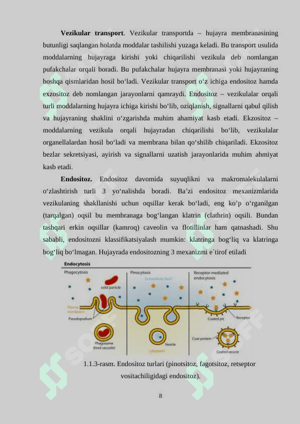 Ion kanallarning aktivatsiyasi, deaktivatsiyasi va inaktivatsiyasi 1