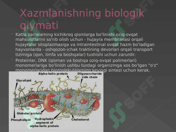 OZIQLANISH BIOKIMYOSI 7