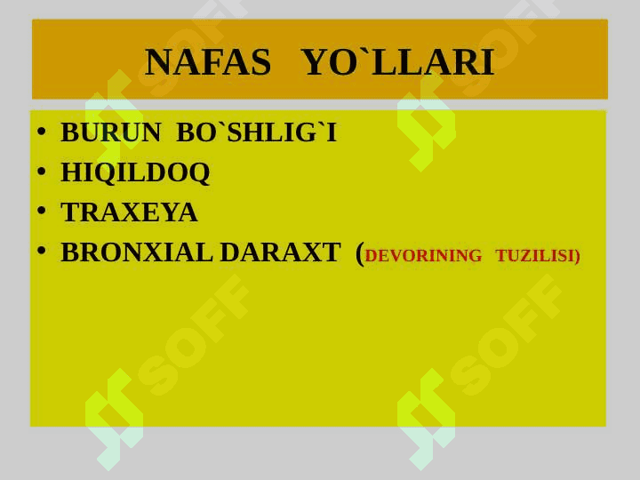 NAFAS  OLISH TIZIMI GISTALOGIYASI 2