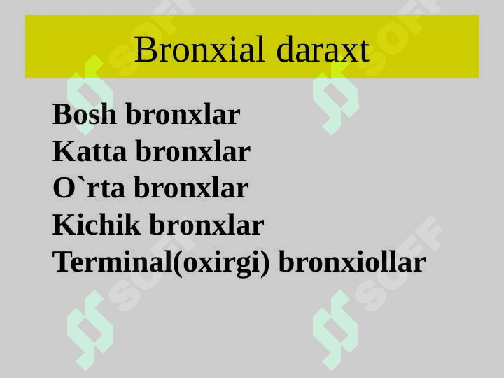 NAFAS  OLISH TIZIMI GISTALOGIYASI 3