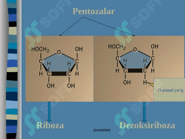 Uglevodlar 4