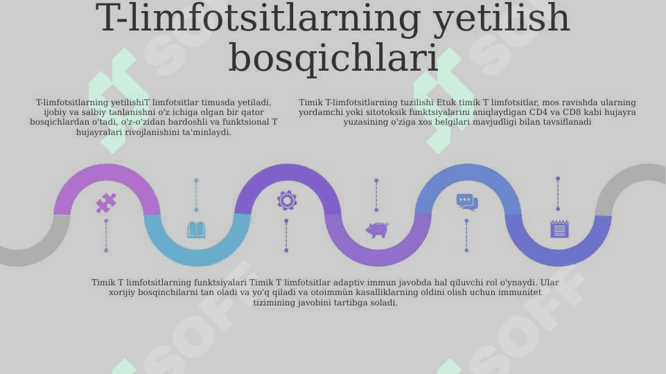 Timusdagi T limfotsitlar tuzlishi 4