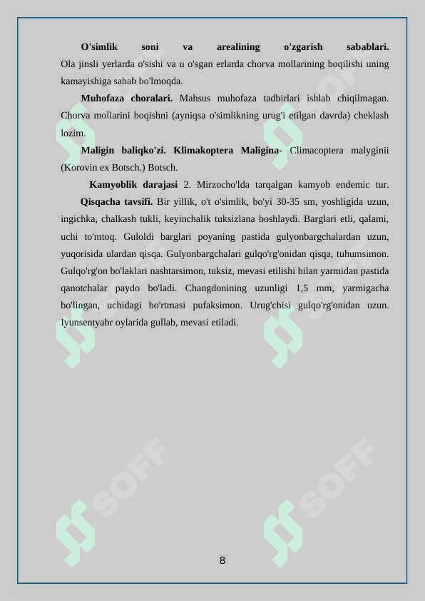 SHO’RADOSHLAR (Chenopodiaceae) oilasi 8