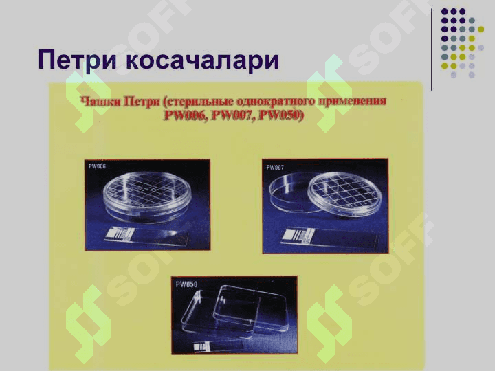 Бактерияларнинг хаёти фаолияти махсулотлари:  ферментлар, пигментлар,  захарли моддалар 4