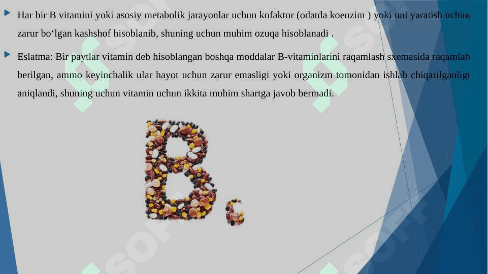 B guruh vitaminlar faoliyati 4