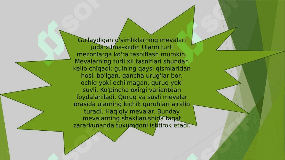 O’t o’simliklar umumiy xarakteristikasi 3