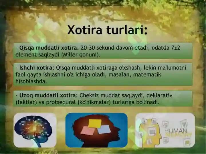 Diqqat va xotira 5