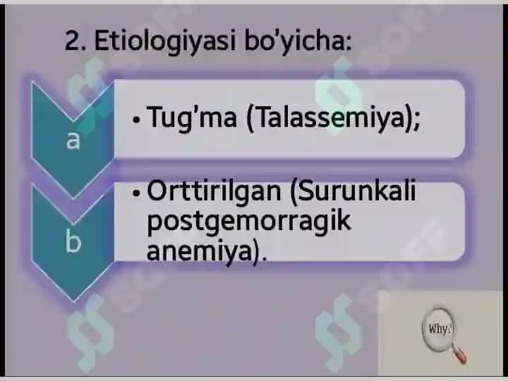 ANEMIYA 6
