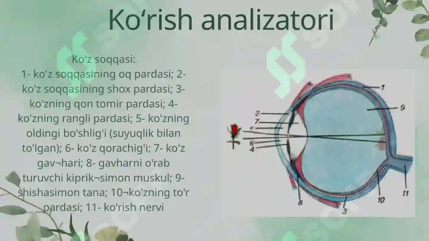 Sensor tizimi 3