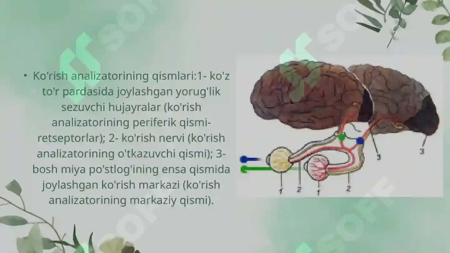 Sensor tizimi 4