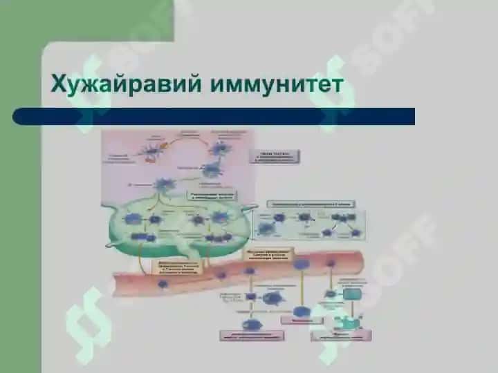 Immun tizimi patafiziologiyasi 7
