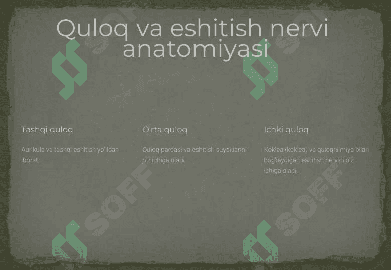 Koxlear nevrit 6
