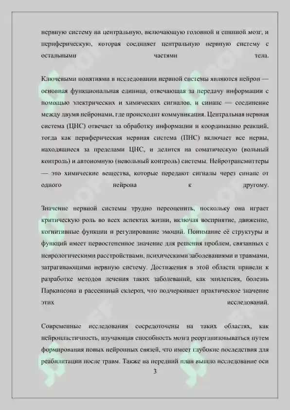 Нервная система 3