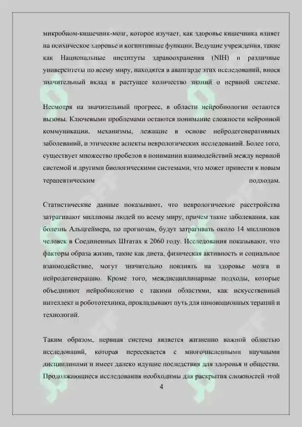 Нервная система 4