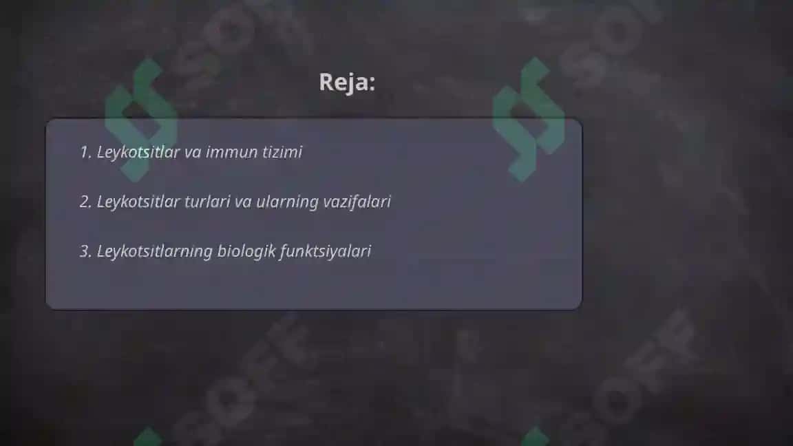 Leykotsitlar 2
