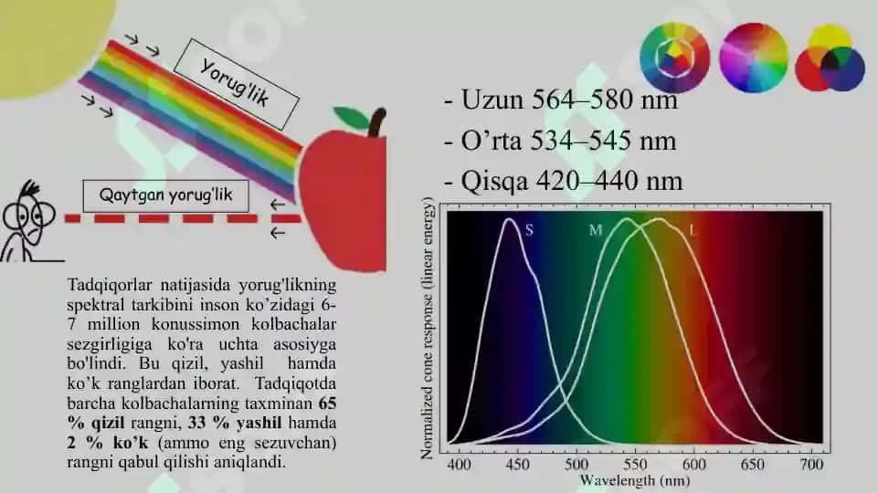 Raqamli rang modellari 6