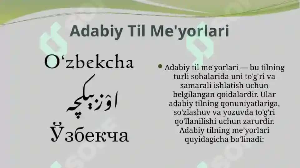 Adabiy til me'yorlari 3